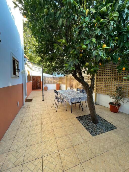 Casa Da Fonte Apartment Condeixa-a-Velha Exterior photo